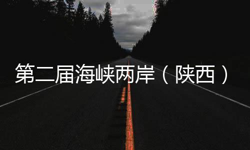 第二届海峡两岸（陕西）青少年足球交流赛榆林开赛