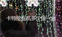 卡特挖掘机多少钱一台