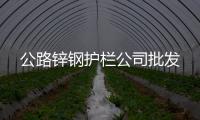 公路锌钢护栏公司批发