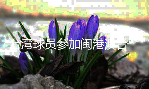 台湾球员参加闽港澳台“同心杯”篮球邀请赛：以球会友促交流