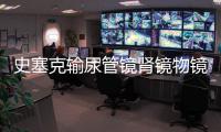 史塞克输尿管镜肾镜物镜