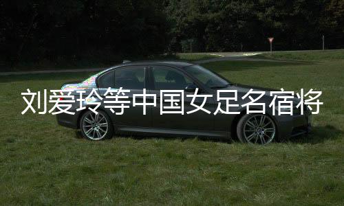 刘爱玲等中国女足名宿将亮相广西大化