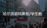 哈尔滨豪鸣黑板/学生教学黑板/中信办公出品
