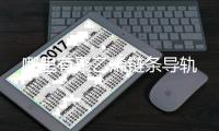哪里有聚乙烯链条导轨