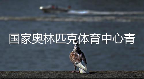 国家奥林匹克体育中心青年支教团队来桑植县开展帮扶支教活动