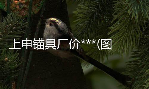 不沾料钢煤仓衬板报价