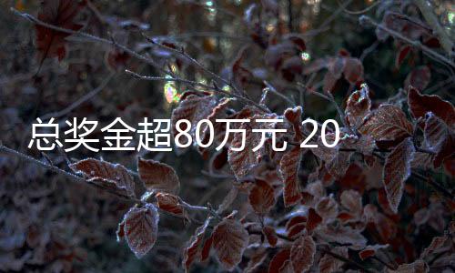 总奖金超80万元 2025郴州“林丹杯”羽毛球公开赛7月挥拍