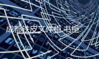 成都铁皮文件柜.书柜.书架