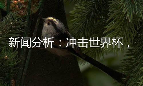新闻分析：冲击世界杯，中国男足必须连赢两场“生死战”