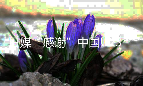 日媒“感谢”中国U23男足 批己方球员伤人动作“丢脸”