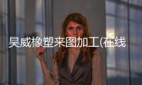 昊威橡塑来图加工(在线咨询)