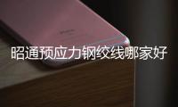 昭通预应力钢绞线哪家好