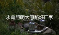 永鑫照明太原路灯厂家