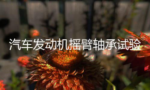 汽车发动机摇臂轴承试验机