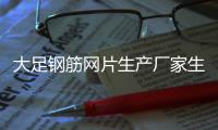 大足钢筋网片生产厂家生产基地「多图」