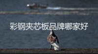 彩钢夹芯板品牌哪家好
