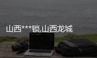 山西***锁,山西龙城科密,科密***锁安装