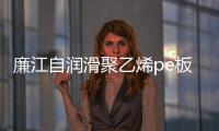廉江自润滑聚乙烯pe板批发