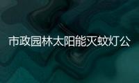 市政园林太阳能灭蚊灯公园灭蚊