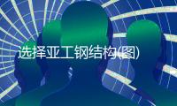 选择亚工钢结构(图)