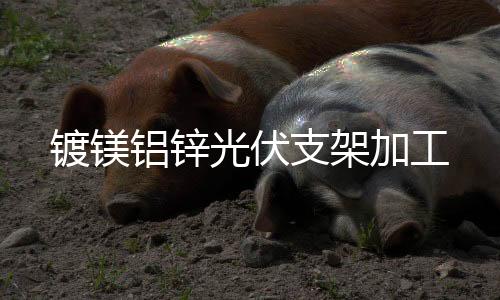 云呼叫中心系统搭建技术和解决方案