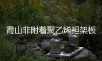 霞山非附着聚乙烯担架板加工
