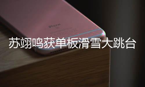 苏翊鸣获单板滑雪大跳台世界杯赛季总冠军