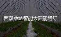 西双版纳智能太阳能路灯