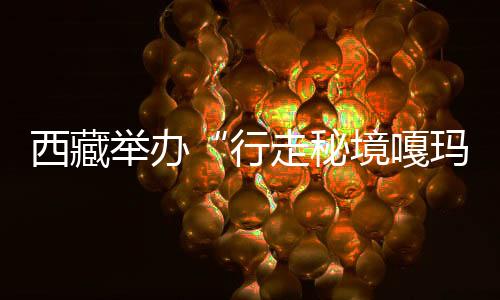 西藏举办“行走秘境嘎玛”珠峰东坡徒步之旅产品发布会
