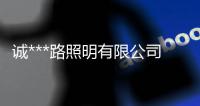 诚***路照明有限公司