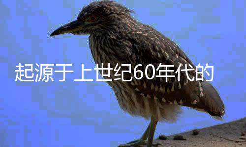 起源于上世纪60年代的掼蛋，变成年轻人社交场“重头菜”
