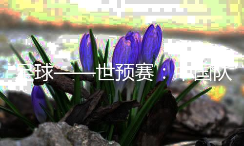 足球——世预赛：中国队举行新闻发布会并进行赛前训练