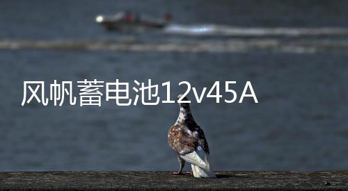 风帆蓄电池12v45Ah现代悦纳i30五菱宏光荣光V雅绅特46B24汽车电瓶