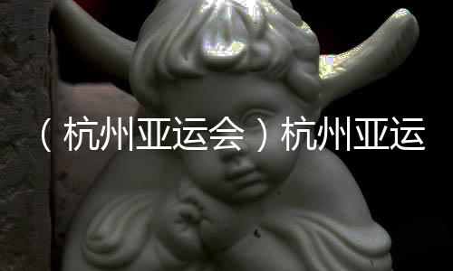 （杭州亚运会）杭州亚运会迎来代表团单日入境最高峰
