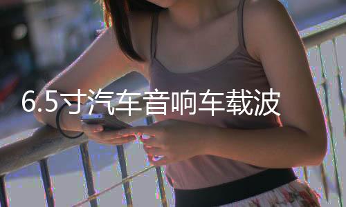 6.5寸汽车音响车载波士顿中重低音喇叭处理价99元一对主机直推