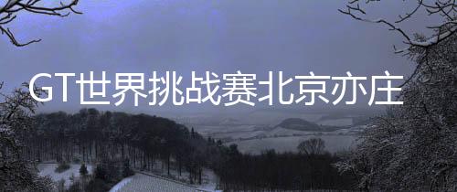 GT世界挑战赛北京亦庄站冲刺备赛 街道开赛成亮点