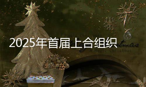 2025年首届上合组织冰雪体育示范区青年拳击邀请赛开幕